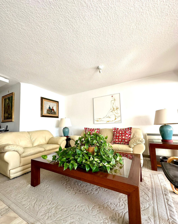 Venta Apartamento 3 dormitorios más dependencia sobre Roosevelt