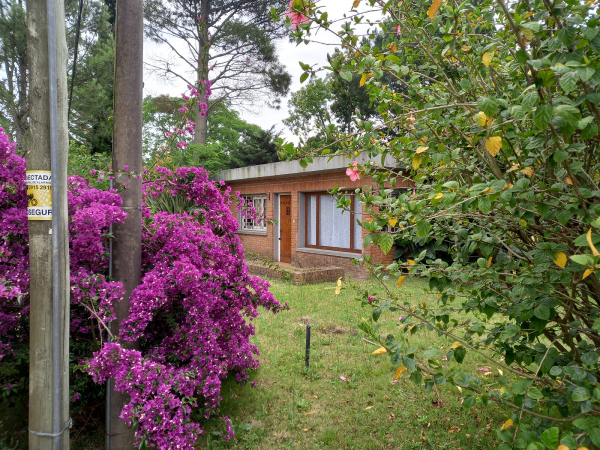 Alquiler de Temporada Playa Mansa 2 dormitorios amplio Jardin.