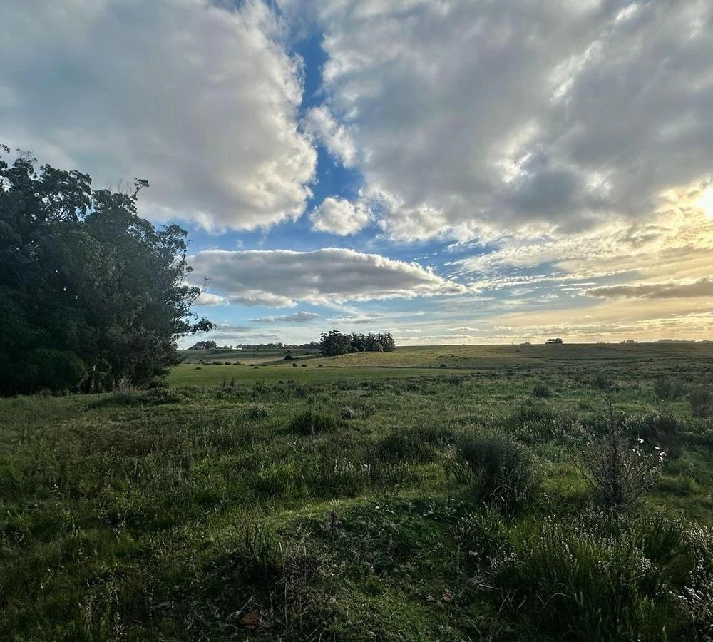 Chacra en , Uruguay