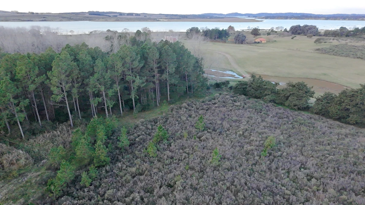 Chacra en venta sobre la Laguna - 17 ha con 200 m de costa, USD 5 por m2