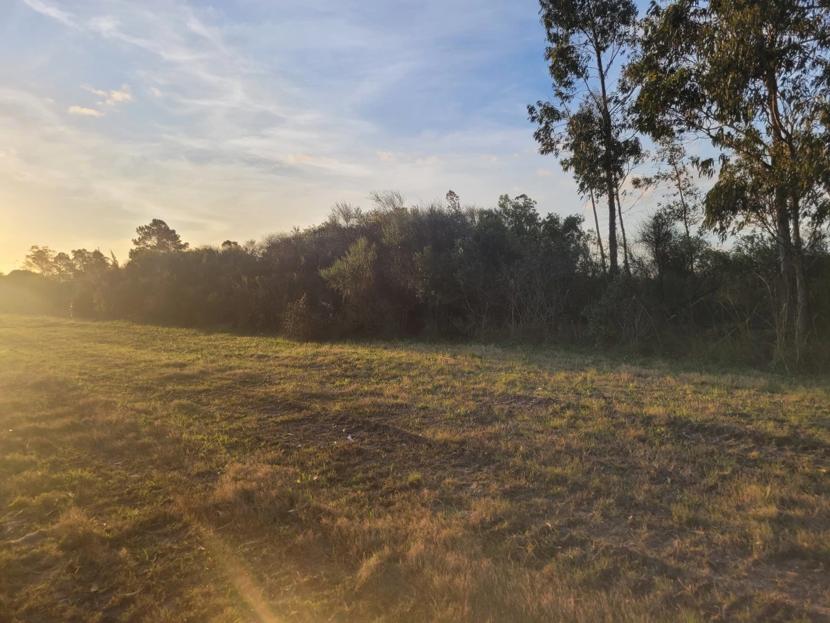 Venta de chacra sobre Ruta 9 - excelente ubicación y muy buen índice CONEAT