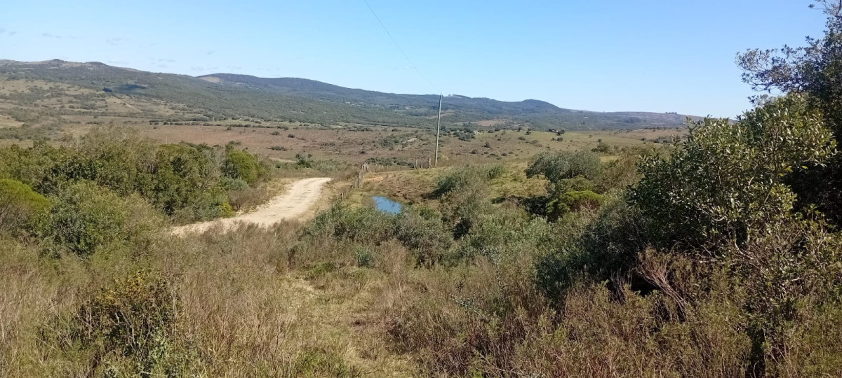 Venta Chacra en Maldonado de 5 hectáreas con casita.