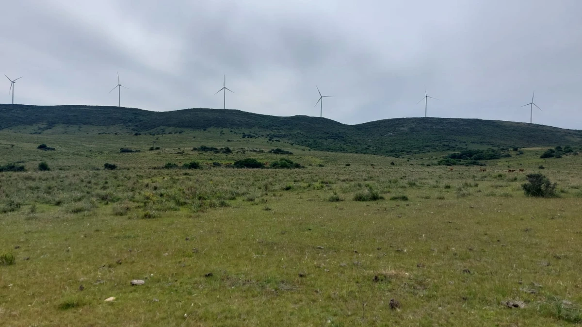 Chacras de más de 5 hectáreas en venta Sierra de los Caracoles