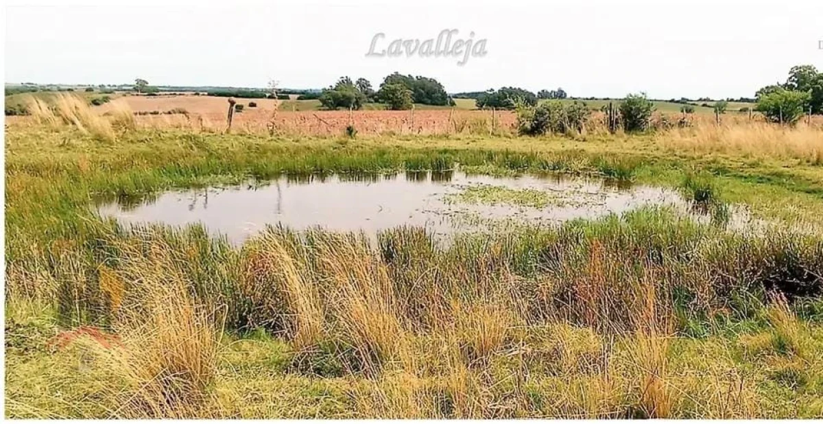 Campo en venta en Lavalleja - 22,5 hectáreas