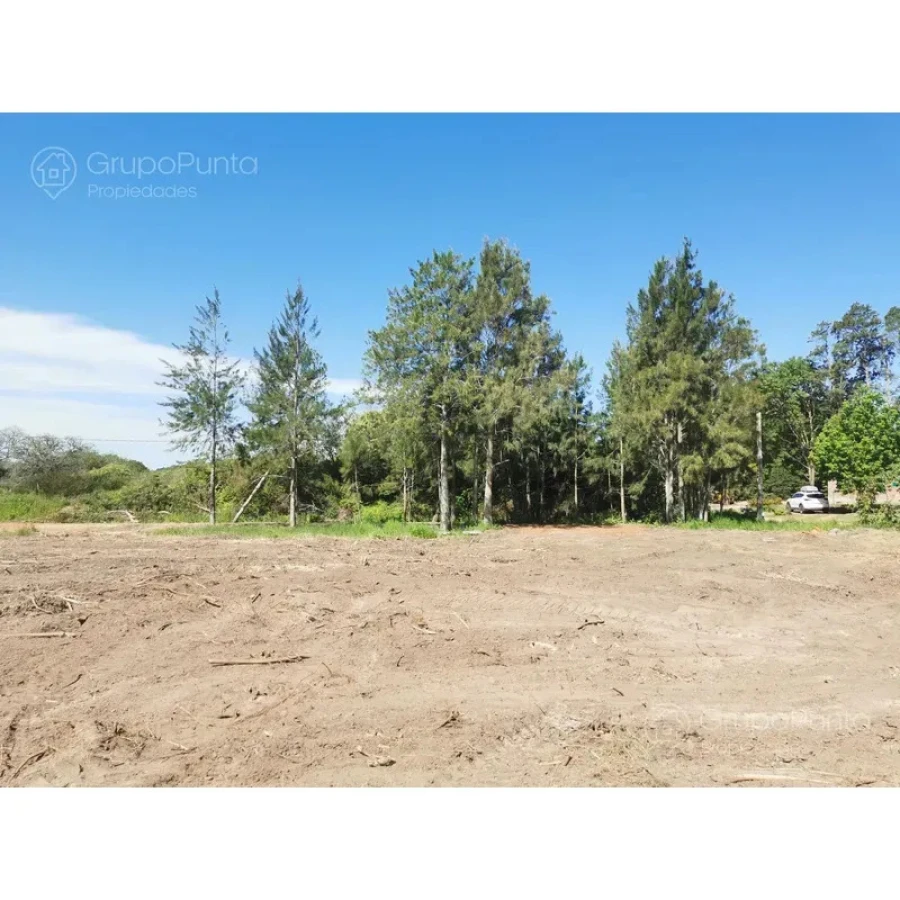 Terreno en laguna del diario