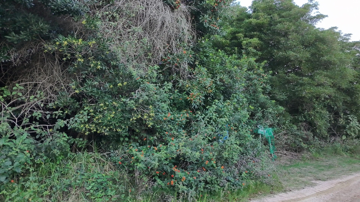 Terreno en venta en Las Grutas - Amplio con potencial de vista al mar