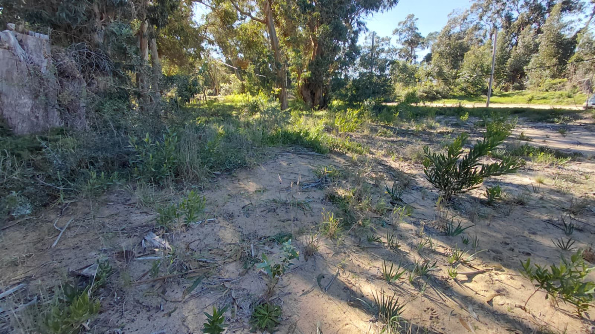 Terreno En Venta Ocean Park