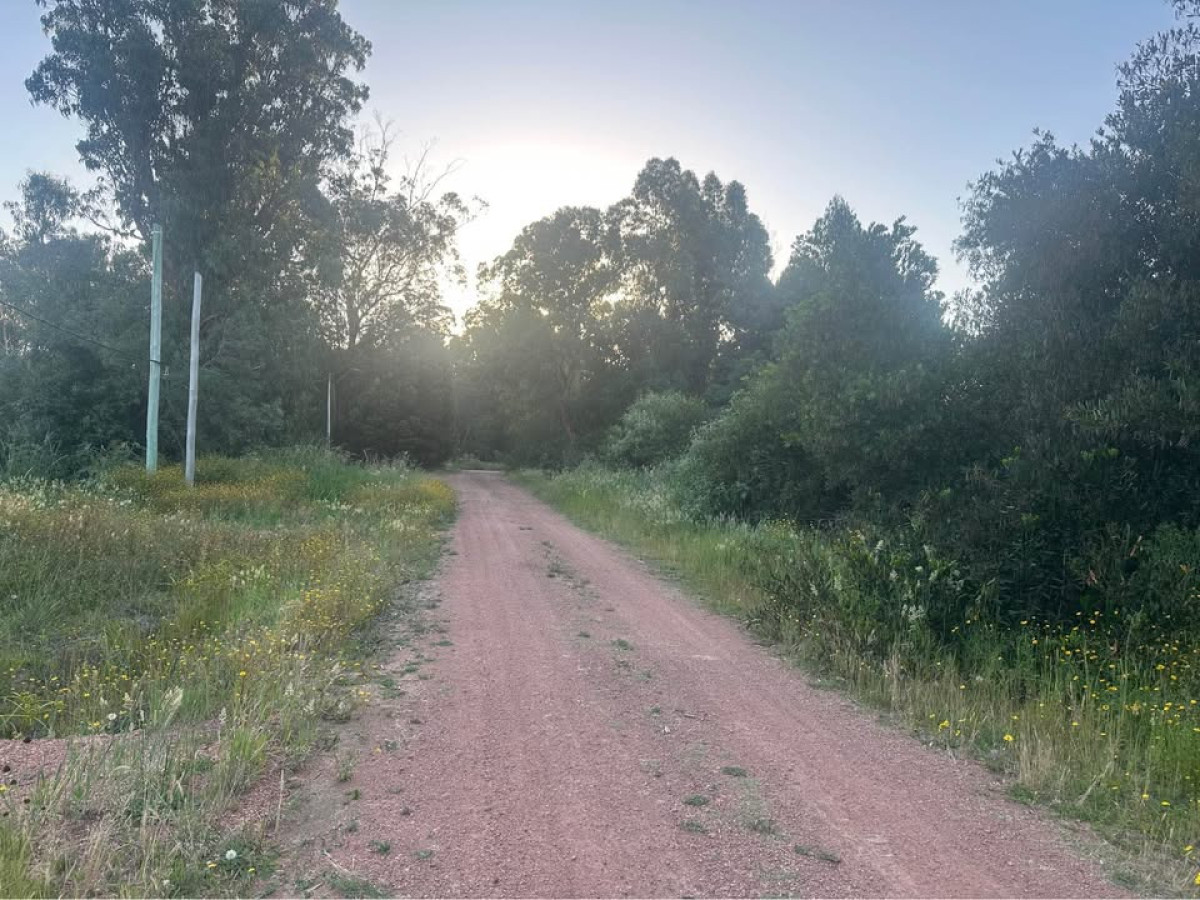 Terreno en Ocean Park