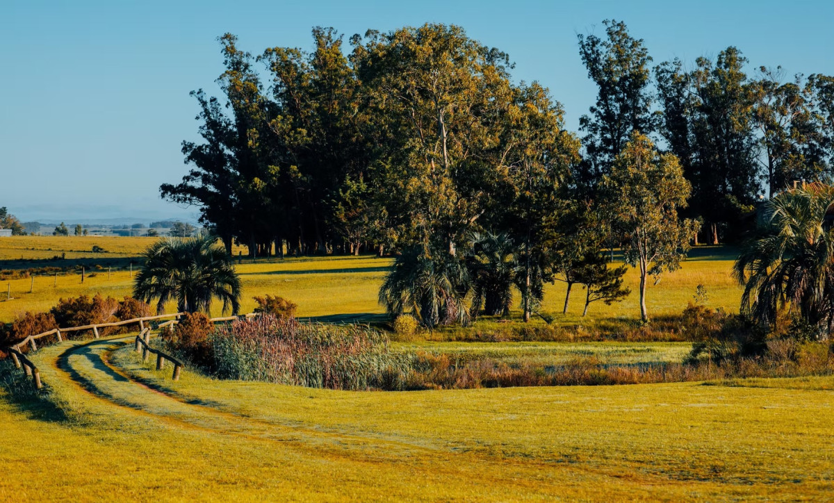La Morenita - José Ignacio