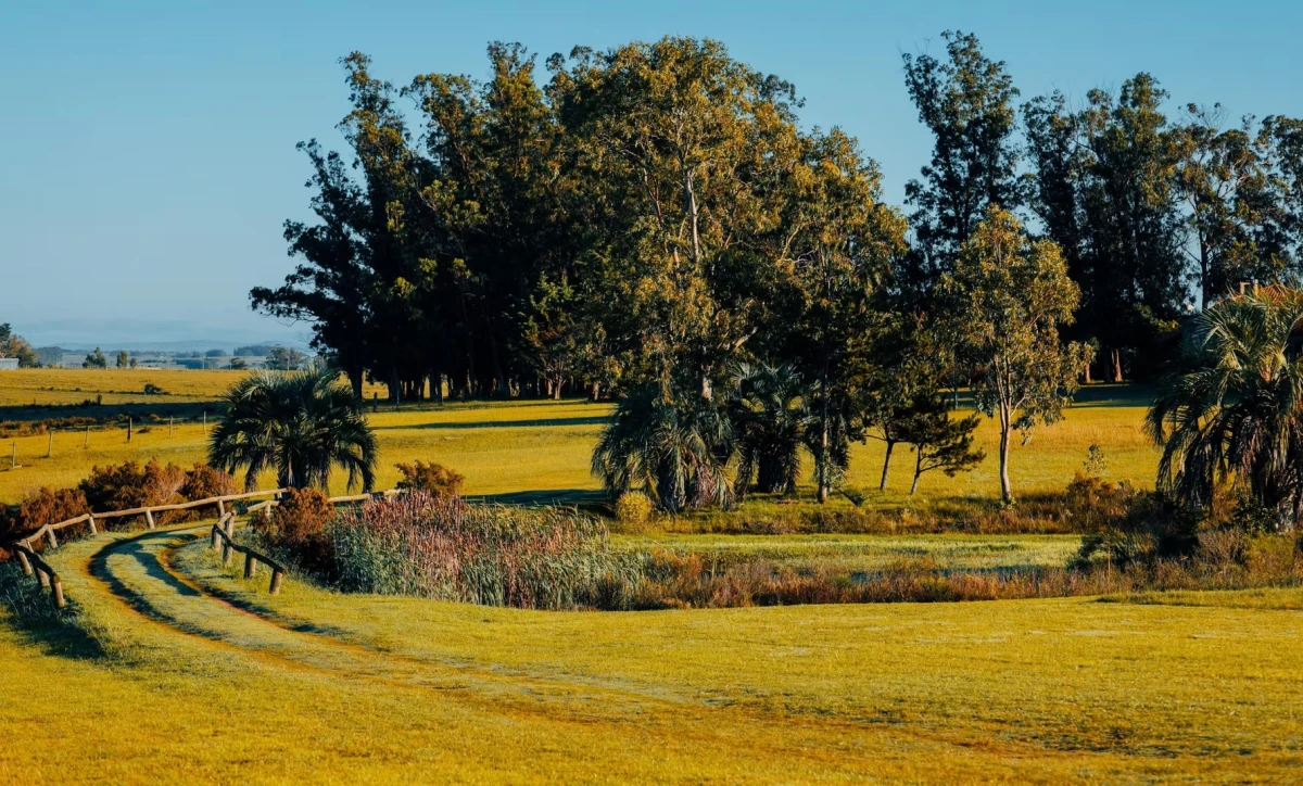 La Morenita - José Ignacio