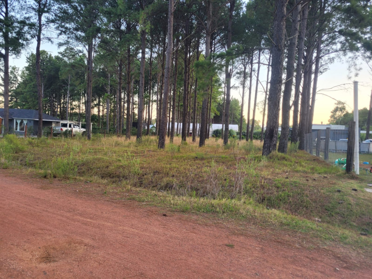 Terreno en venta en Chacras del Pinar excelente ubicación y metros de frente