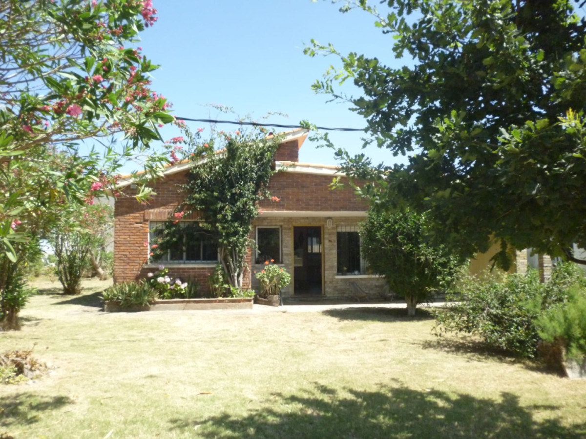 Casa en alquiler temporal en Punta Colorada 3 dormitorios 2 baños muy cómoda y con sombra natural 