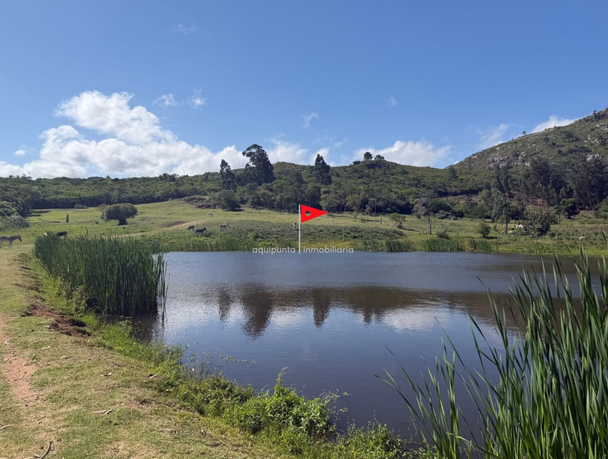 Chacra con tajamar y casas en Piriápolis 