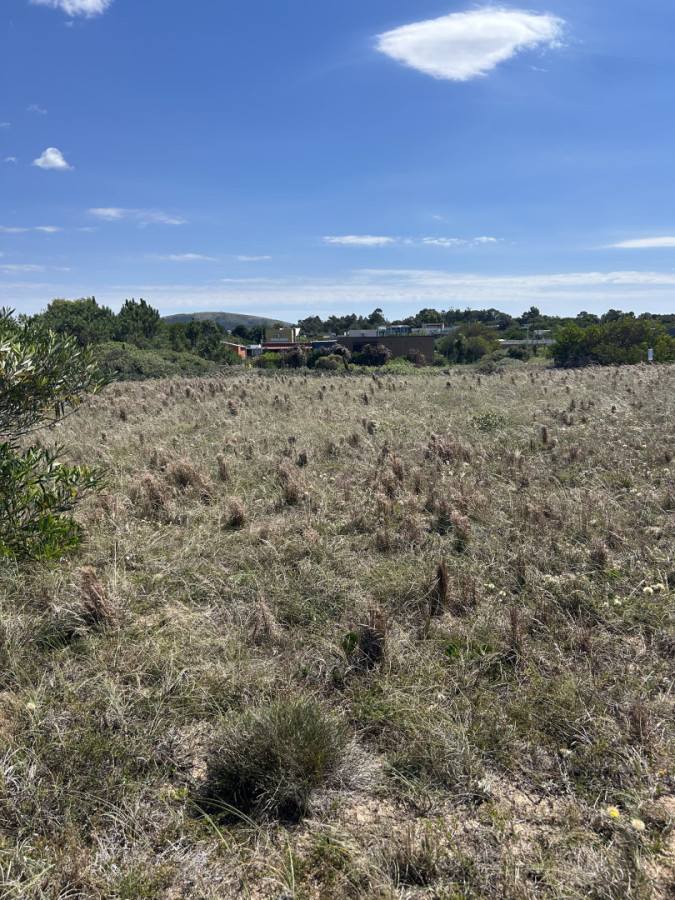 Venta terreno punta negra media cuadra playa