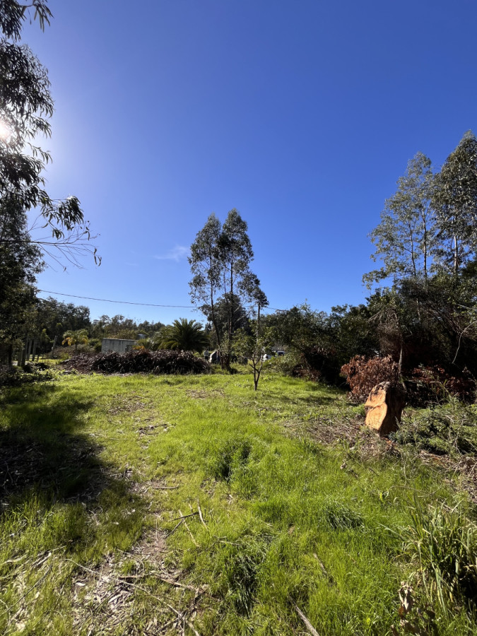 Vivir cerca del mar es posible, conoce este terreno de 840m2 