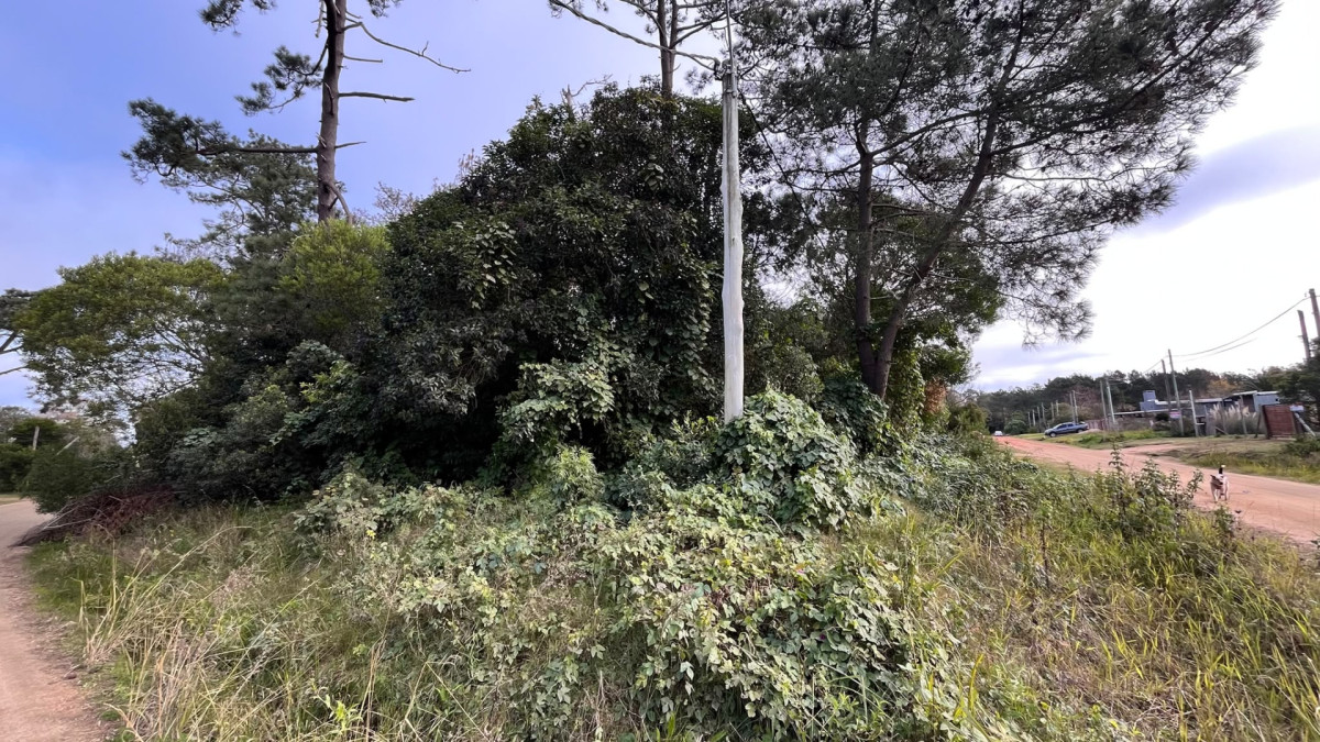 Terreno esquinero en Ocean Park