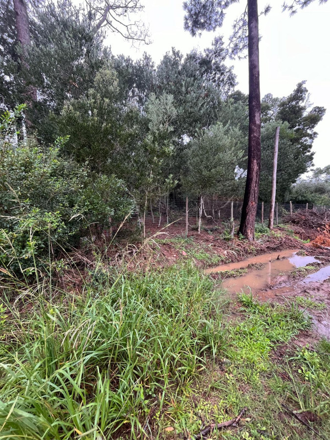 Terreno en Ocean Park