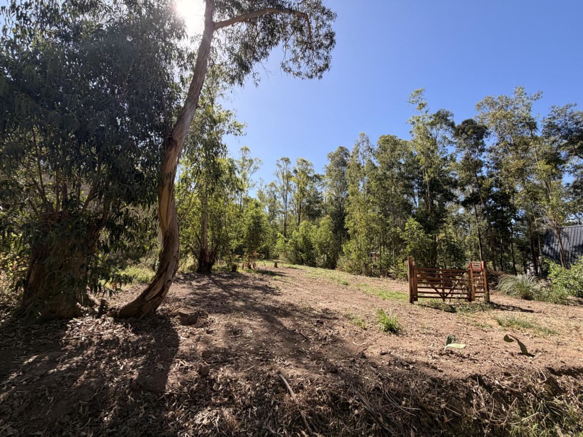 terreno en venta en sauce de portezuelo 600m2 