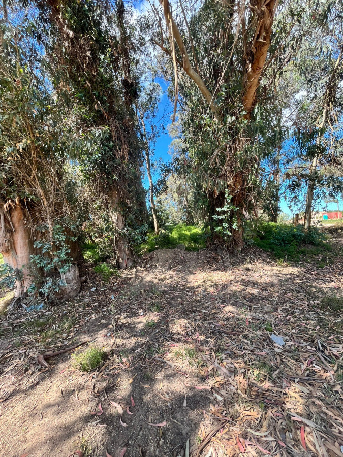 Esquinero en Ocean Park