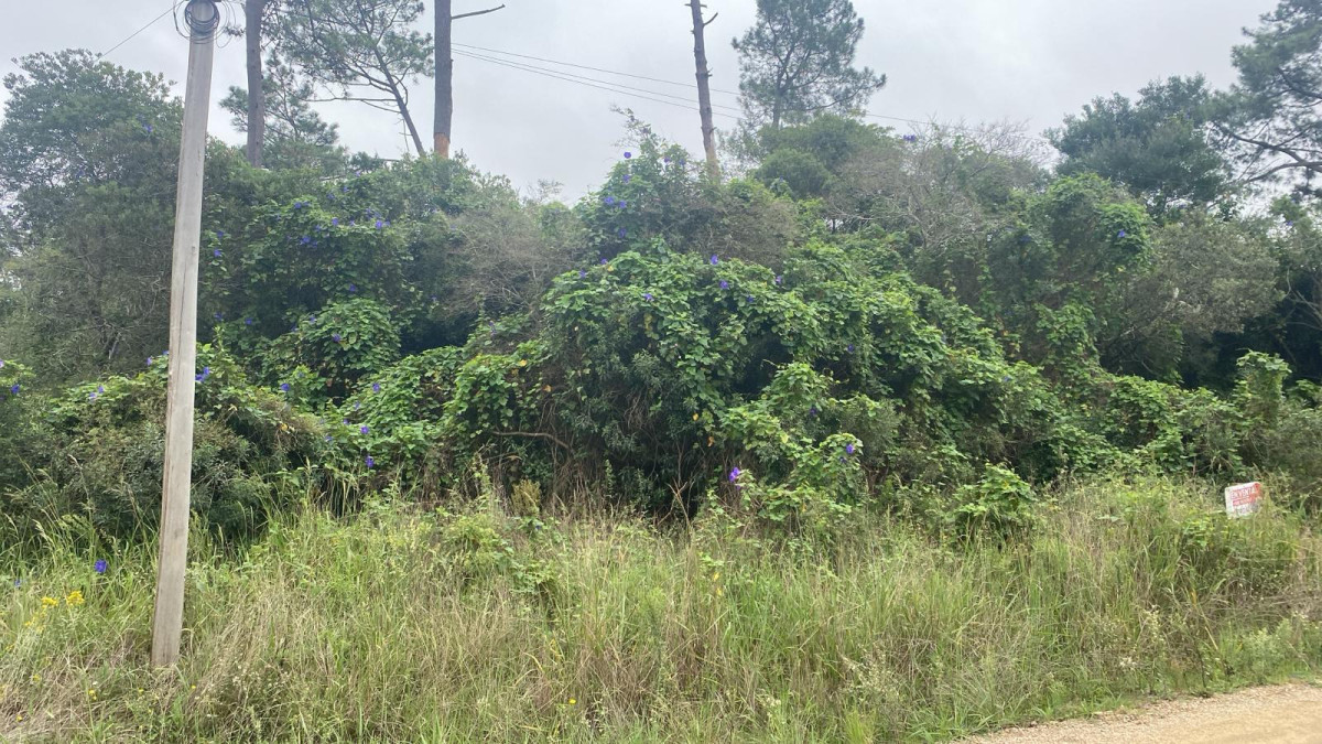 Terre o en el centro del balneario de 1000mts2