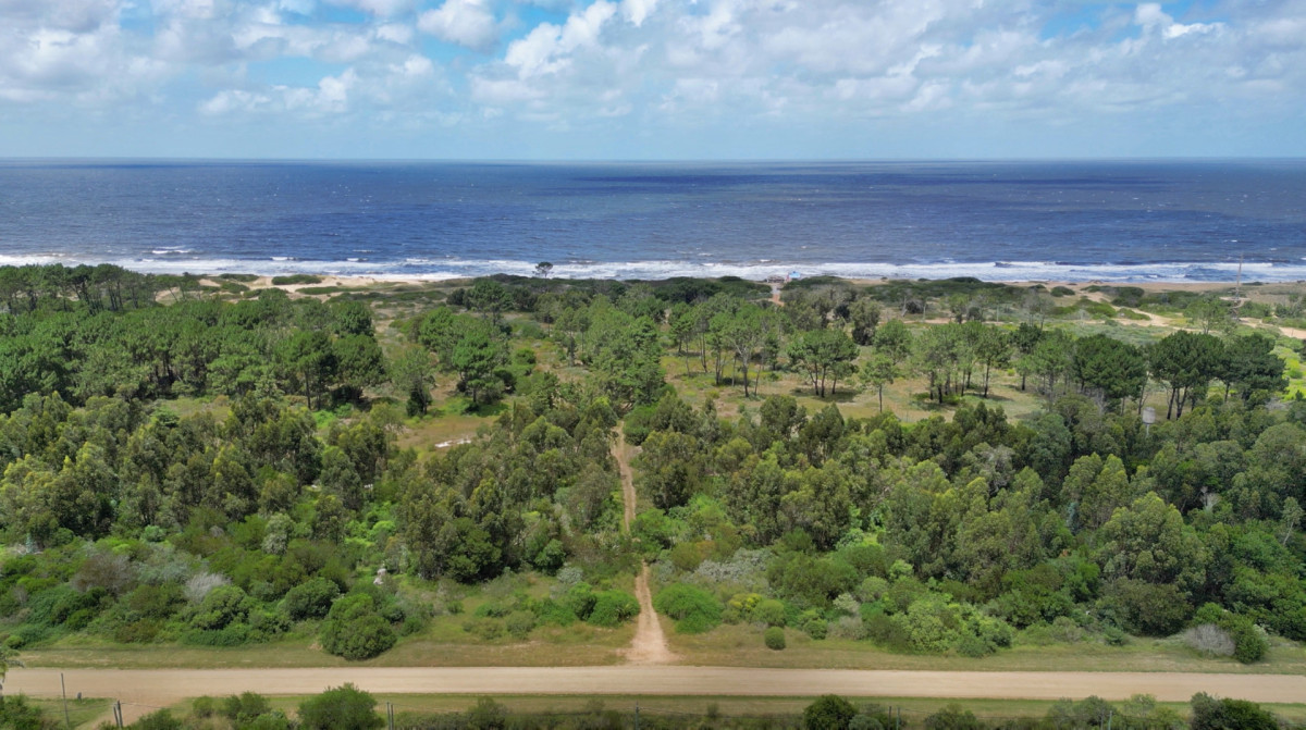 Terreno de 7 hectáreas frente al mar