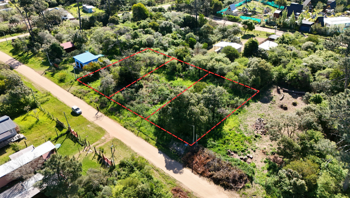 Terreno en venta en Ocean park Vegetación nativa 