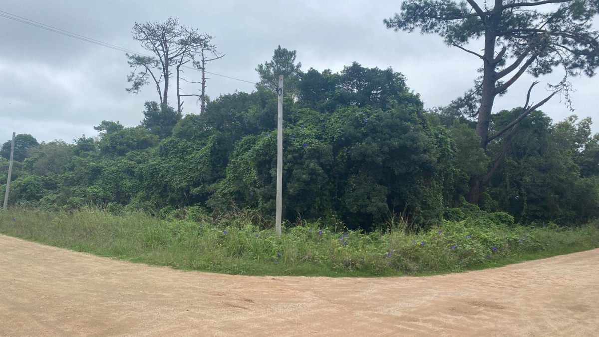 Terreno esquina en Ocean Park