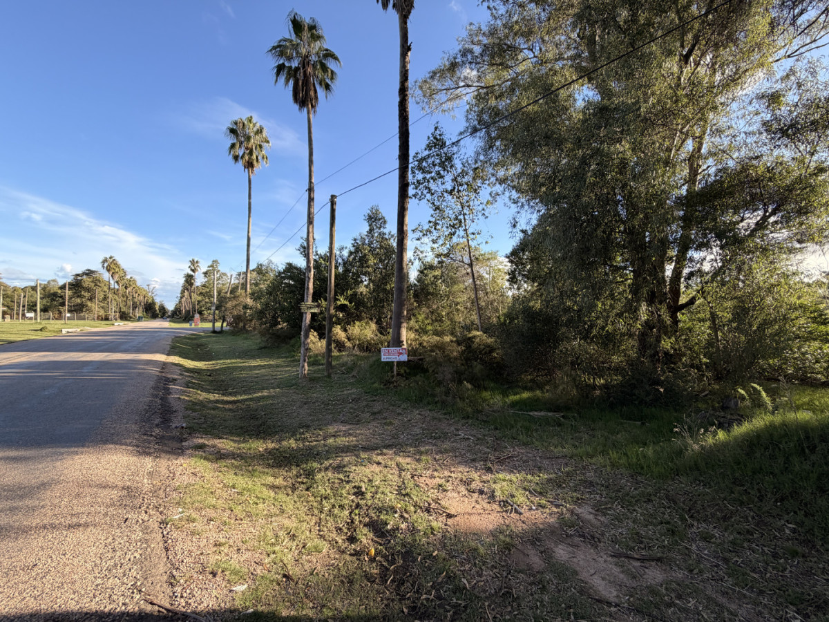 Terreno en venta en sauce de portezuelo avenida principal y ruta