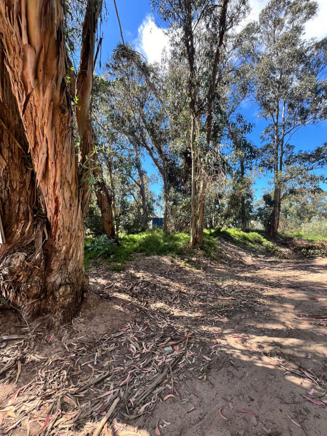 Esquinero en Ocean Park
