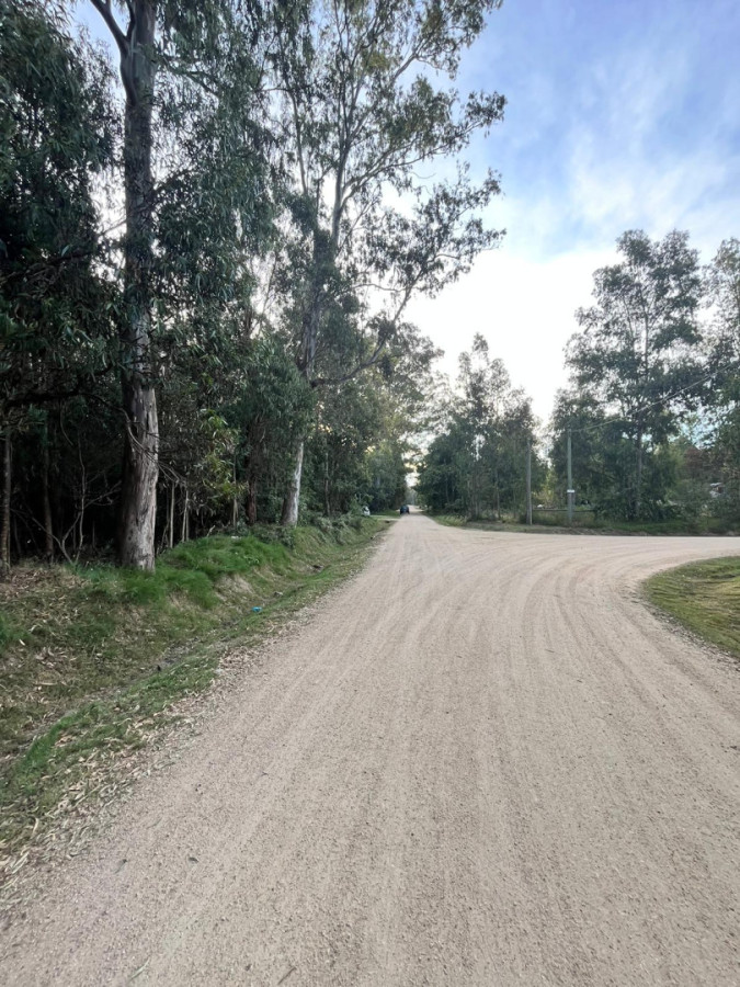 Terreno en Sauce de Portezuelo