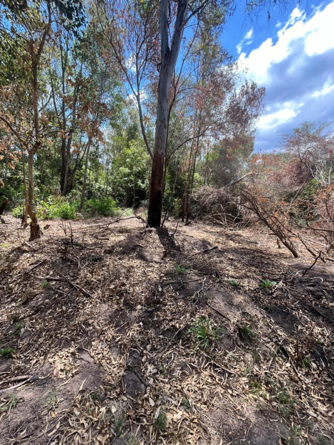 Terreno Sauce de Portezuelo