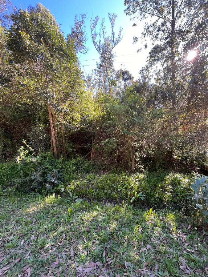 Amplio terreno en Ocean Park