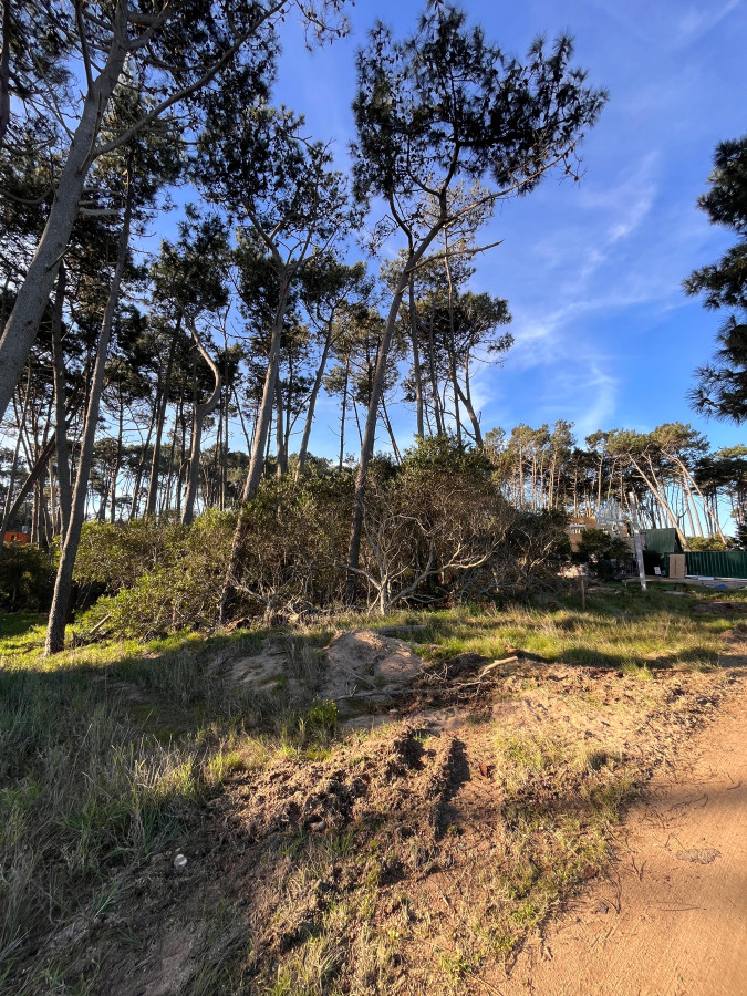 Terreno a una cuadra del Mar!