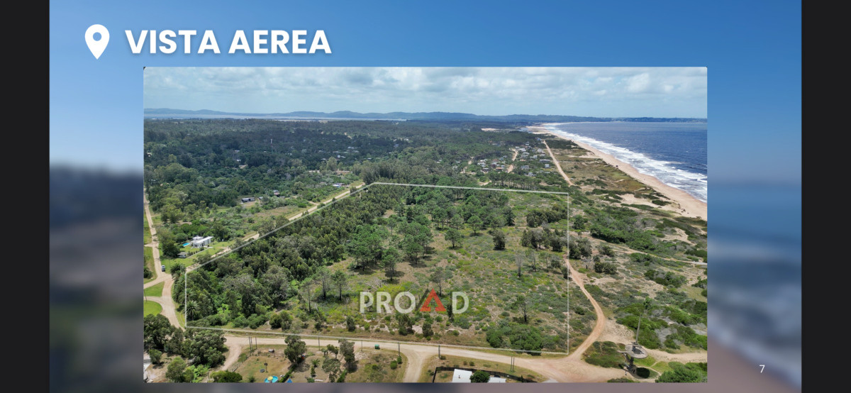Lote de 7 hectareas frente al mar, perfecto para proyecto!