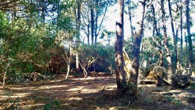 TERRENO EN LAGUNA GARZÓN 