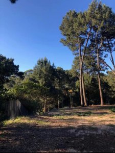 Terreno en Punta Ballena