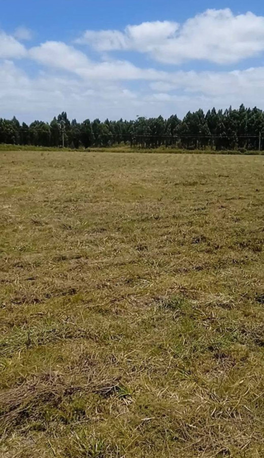 Terreno en San Carlos