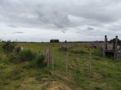 Excelente campo en La Pantanosa