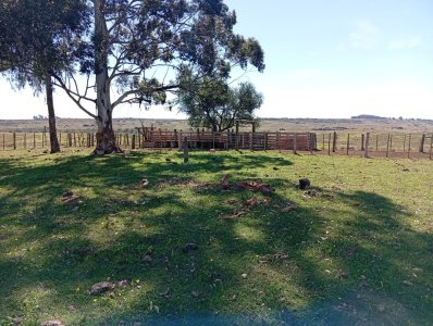 Excelente campo en Cerro Largo
