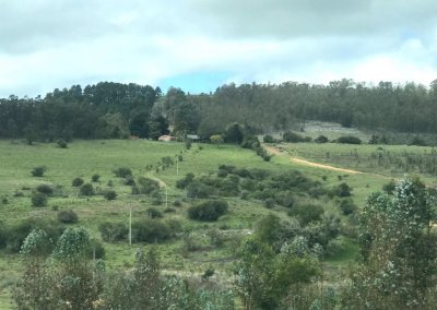 Excelente campo ganadero en Mariscala