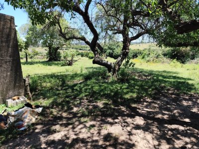 Excelente campo en Don Carlos
