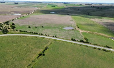 Campo agricola ganadero en Florida