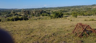Excelente campo ganadero