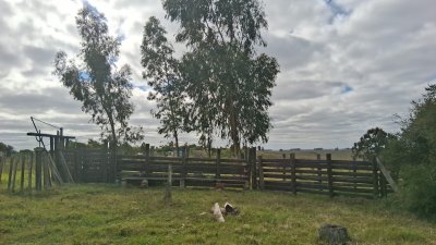 Excelente campo agrícola ganadero