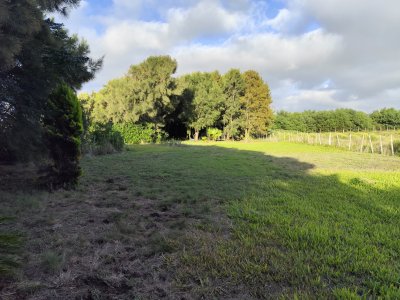 Excelentes terrenos
