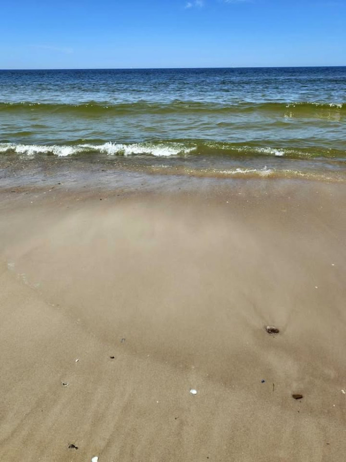 Alquiler cabaña en Piriapolis