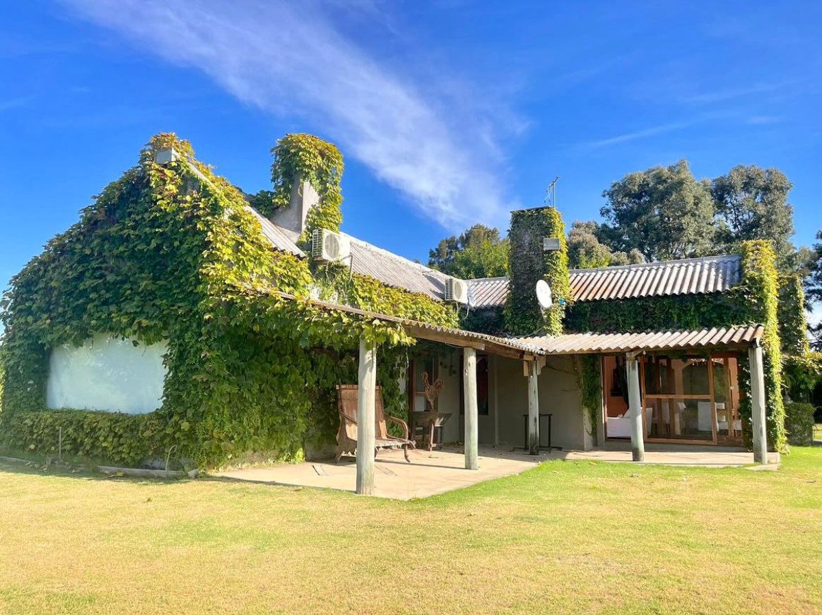 Alquiler temporario chacra 