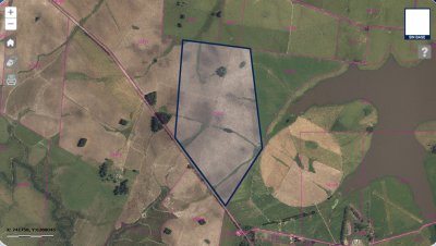 Venta campo agrícola Lavalleja 550 hectáreas