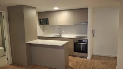 Alquiler Apartamento 1 Dormitorio Barbacoa Pocitos, N