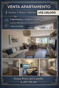 Venta Apartamento 3 Dormitorios Renovado, Pocitos, T